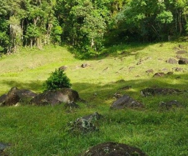 475228098_10227055735395717_4442891951528630550_n (1)