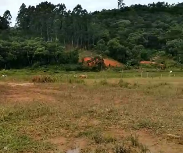 Captura de tela 2024-11-08 103319