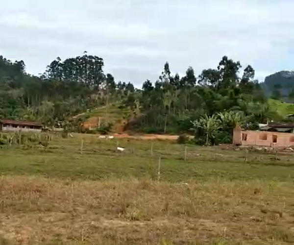 Captura de tela 2024-11-08 103418