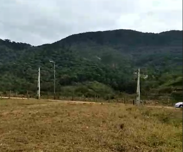 Captura de tela 2024-11-08 103443