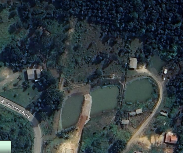 Captura de tela 2024-11-20 112144