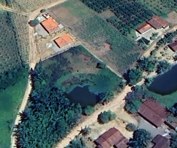 Captura de tela 2025-01-21 170556