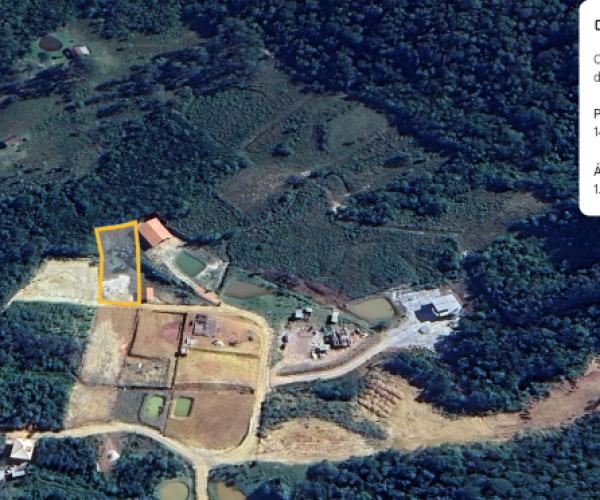 Captura de tela 2025-02-24 115358