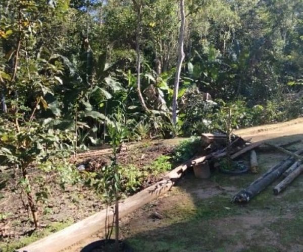 IMG-20240819-WA0139