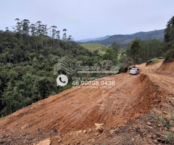 IMG-20241007-WA4166