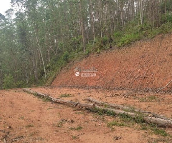 IMG-20241008-WA0288