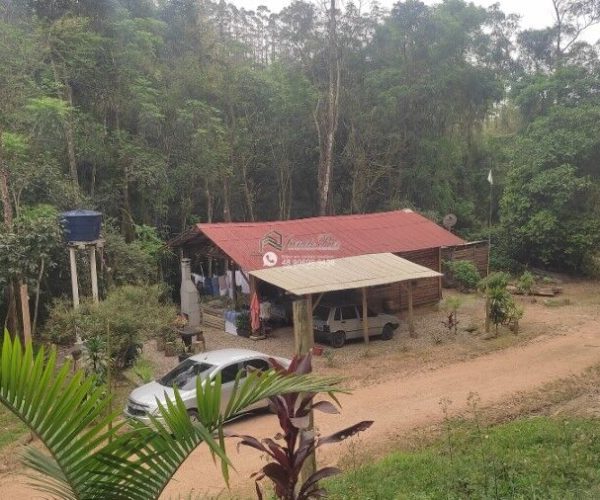 IMG-20241008-WA0302