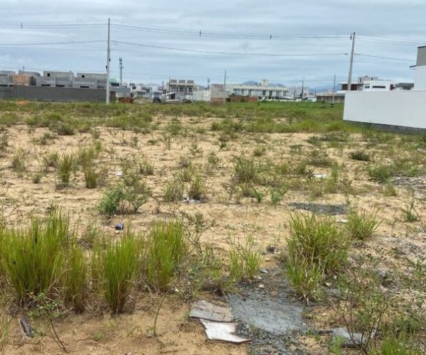 Imagem do WhatsApp de 2024-12-03 à(s) 11.04.14_47766573