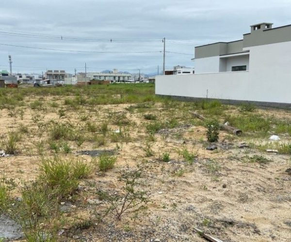 Imagem do WhatsApp de 2024-12-03 à(s) 11.04.18_051ac6ee