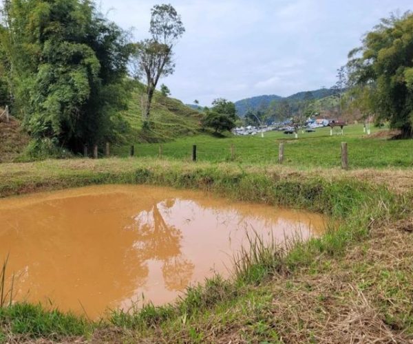 Imagem do WhatsApp de 2024-12-09 à(s) 08.55.54_ecfb9a20