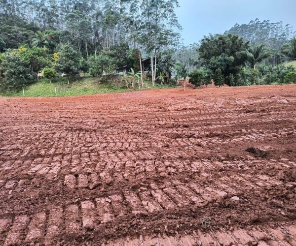 Imagem do WhatsApp de 2025-02-26 à(s) 13.21.47_52387fd5