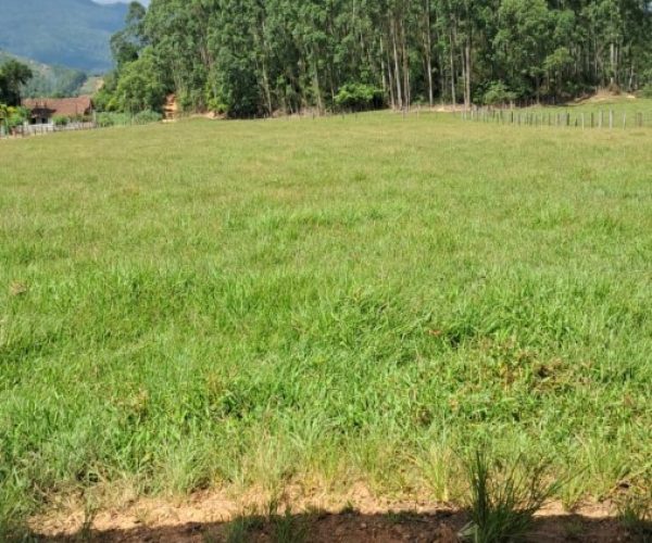 Imagem do WhatsApp de 2025-03-01 à(s) 11.30.11_528e3c78