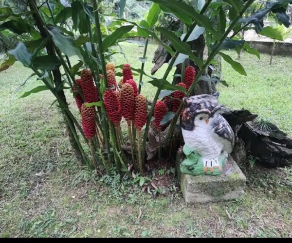 WhatsApp Image 2024-06-24 at 22.18.19 (1)