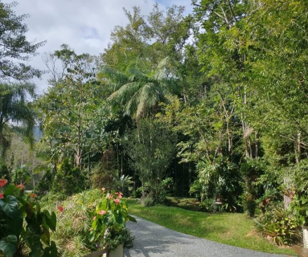 WhatsApp Image 2024-06-24 at 22.18.20 (2)