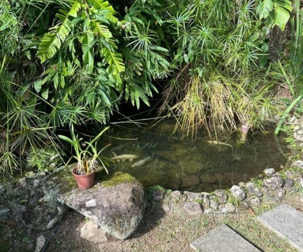 WhatsApp Image 2024-06-27 at 18.04.39 (2)