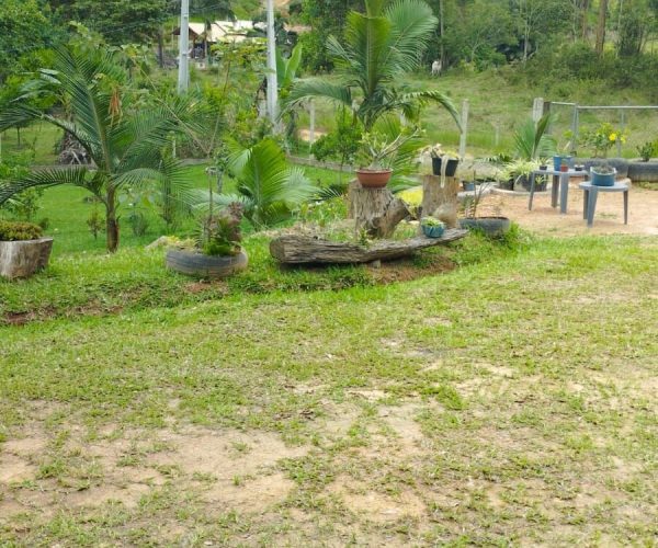 WhatsApp Image 2025-05-20 at 15.18.56 (3)