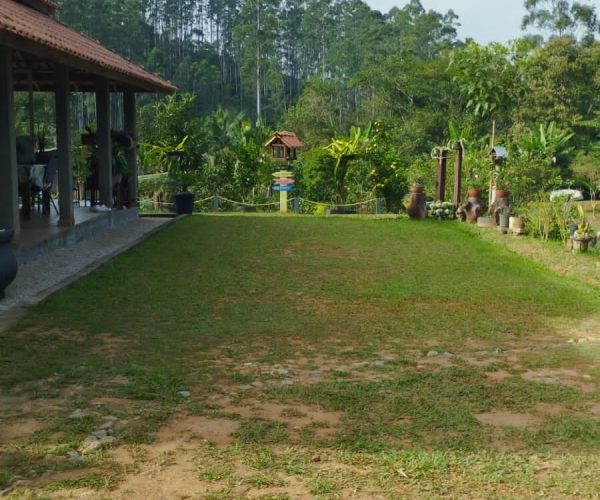 WhatsApp Image 2025-05-20 at 15.19.00 (1)